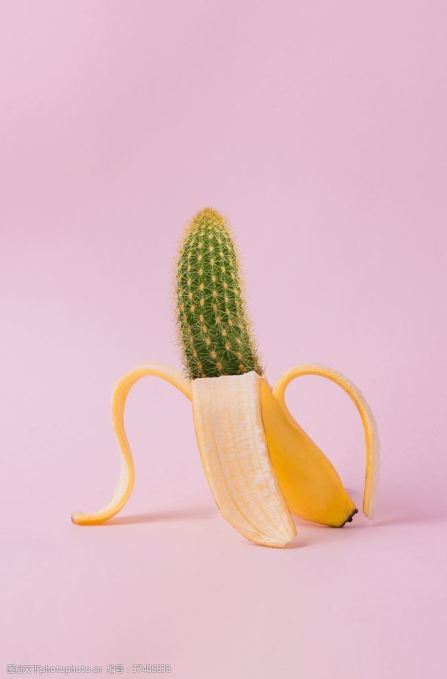 干旱日仙人掌香蕉创意