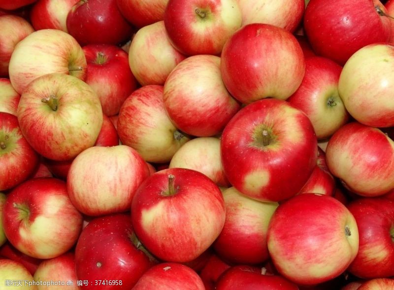 富士康一堆苹果