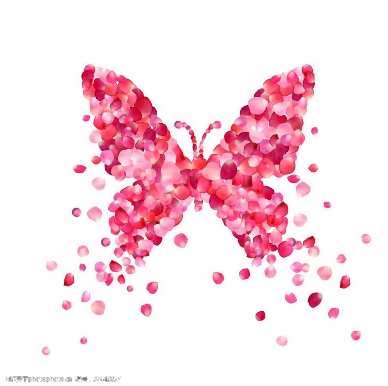 粉红色素材蝴蝶