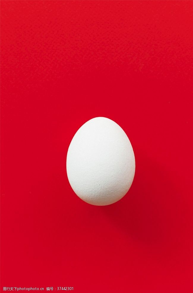 蛋白质海报白色质感雕刻鸡蛋
