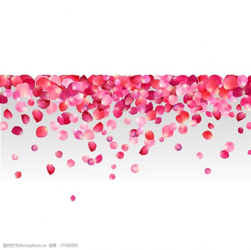 粉红色素材花瓣