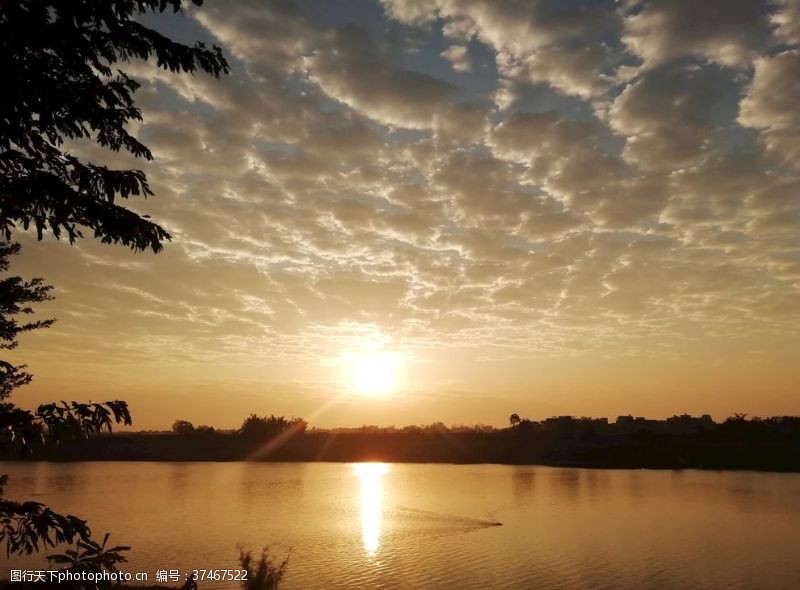 日落的湖边江滨河边的早晨