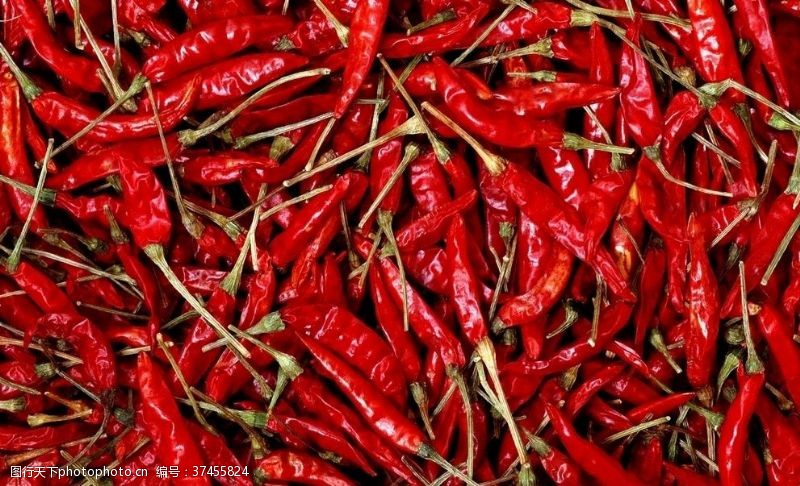 魔鬼椒图片免费下载_魔鬼椒素材_魔鬼椒模板-图行天下素材网