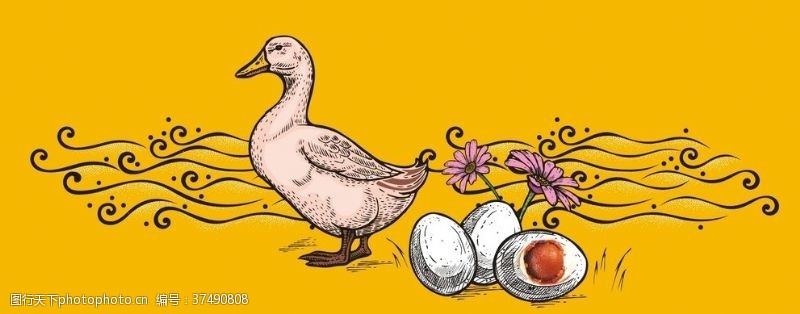 素描烤鸭蛋咸鸭蛋包装手绘