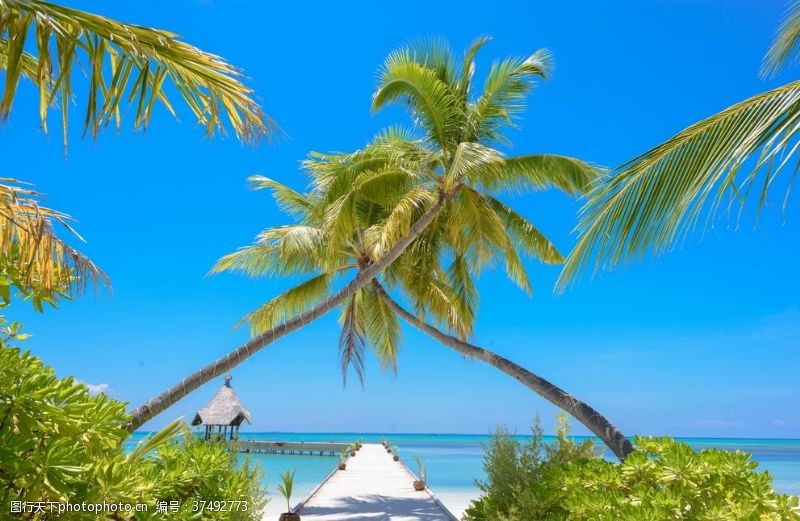 马尔代夫沙滩沙滩海岸海滨岛屿