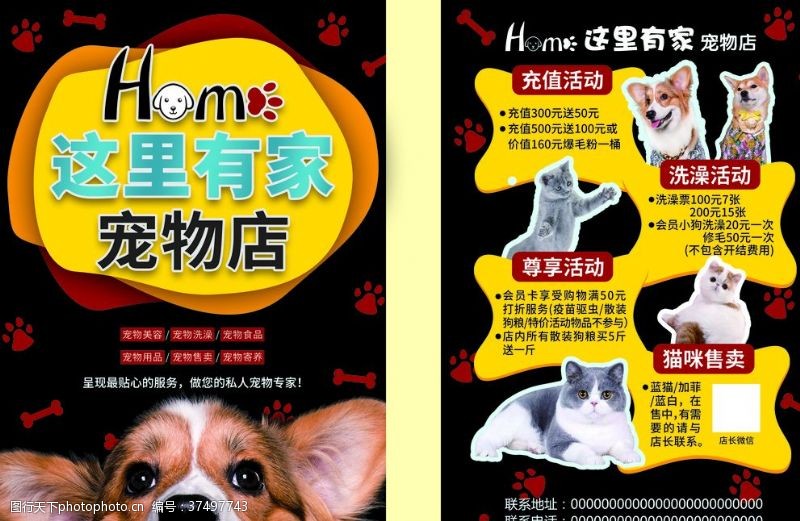宠物宣传单宠物店彩页黑色柯基犬高端黄色