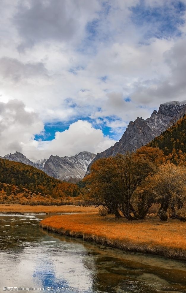 秋叶稻城亚丁小溪秋景