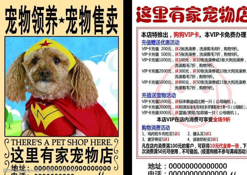 宠物宣传单宠物店彩页海贼王通缉令风格创意