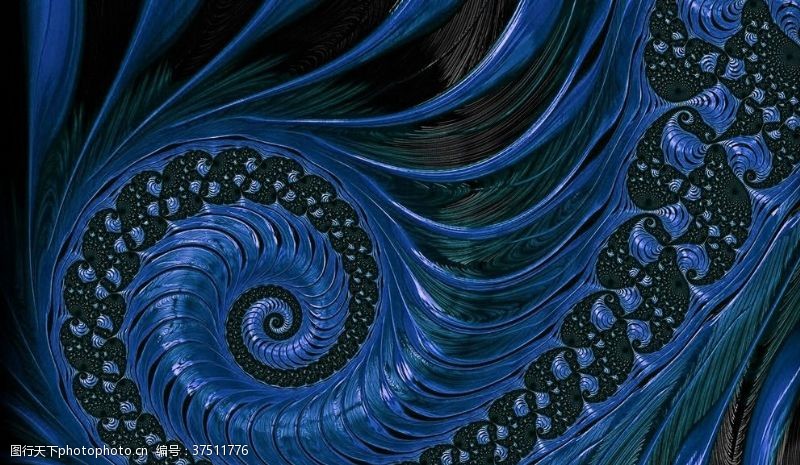 星光几何抽象海螺