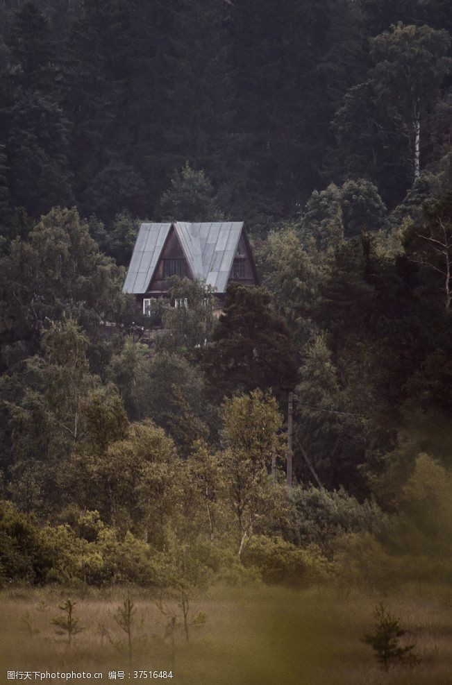 高中秋游林中小屋