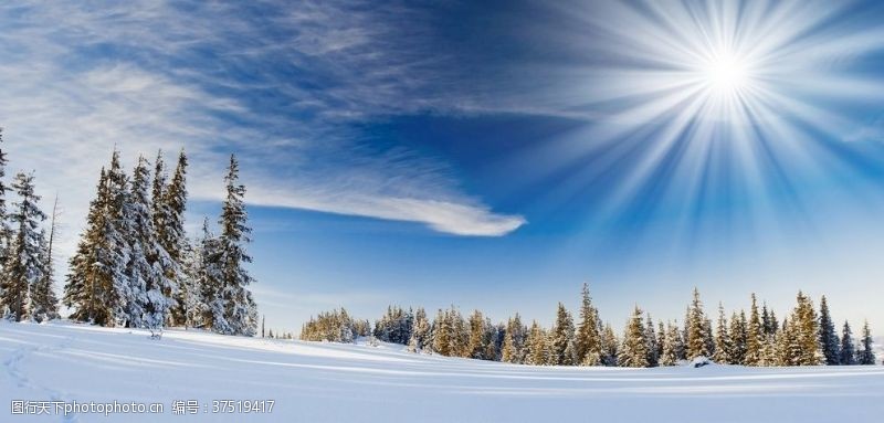 雪壁纸图片免费下载 雪壁纸素材 雪壁纸模板 图行天下素材网