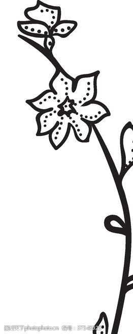 黑白线稿花朵黑白手绘花藤