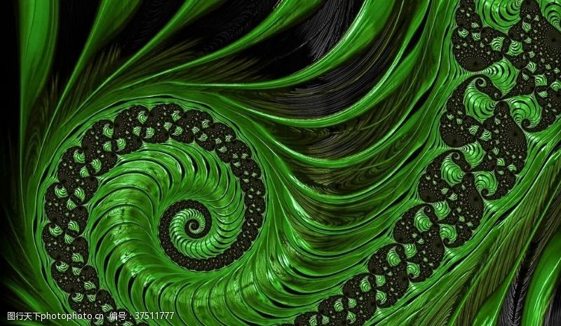 星光几何抽象海螺