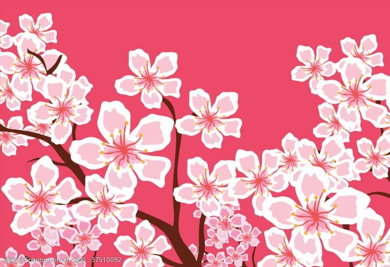 粉色花朵樱花矢量背景