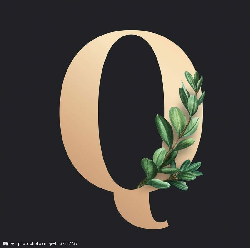 装饰画展板字母Q叶子
