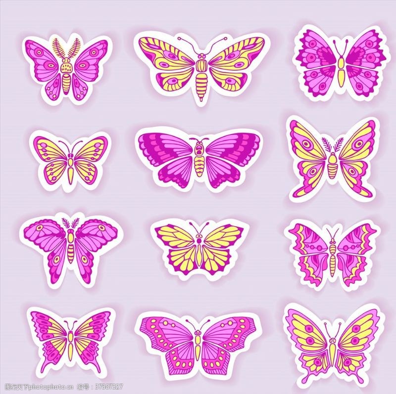 蛱蝶紫色蝴蝶