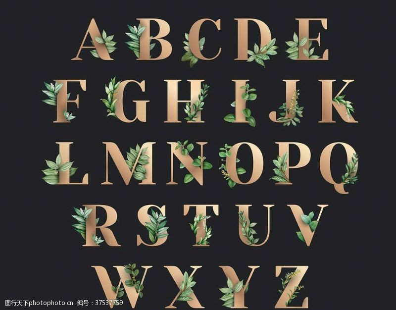 装饰画展板二十六个字母叶子