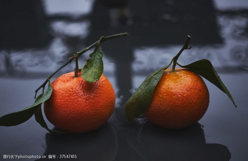 柑橘背景橘子柑橘橙子桔子