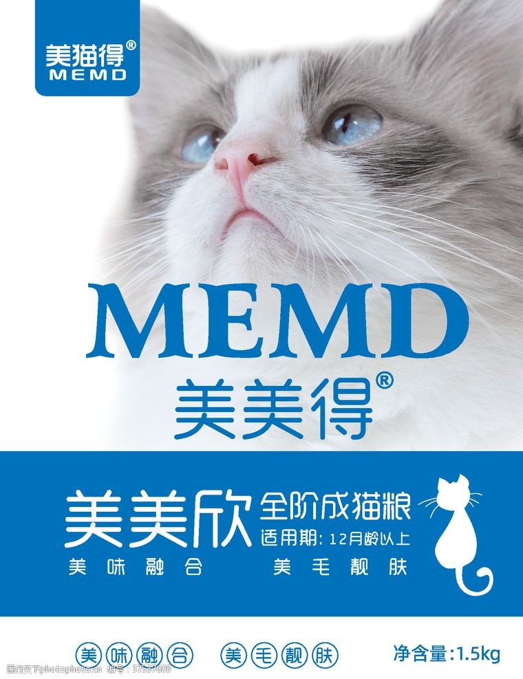 猫的背景图片免费下载 猫的背景素材 猫的背景模板 图行天下素材网