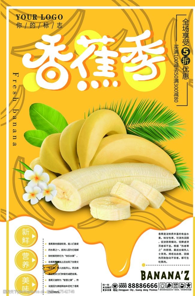 香蕉种植水果