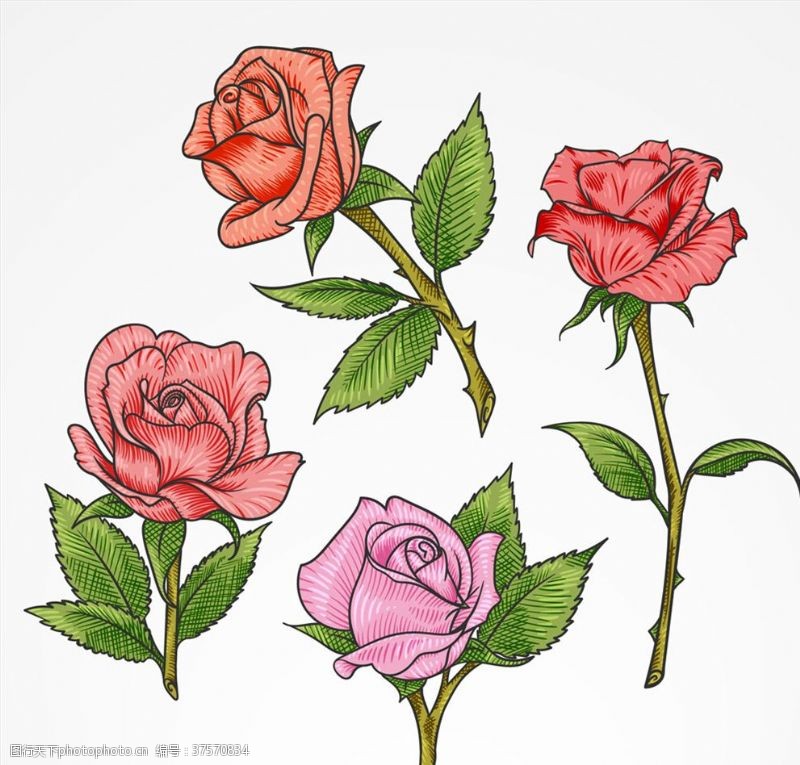 玫瑰精油彩色单枝玫瑰花矢量素材
