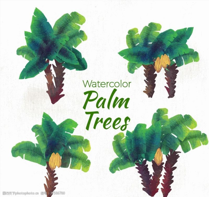 手绘卡通棕榈树水彩绘绿色棕榈树矢量图