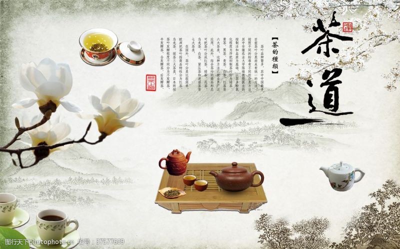 茶文化画册茶道