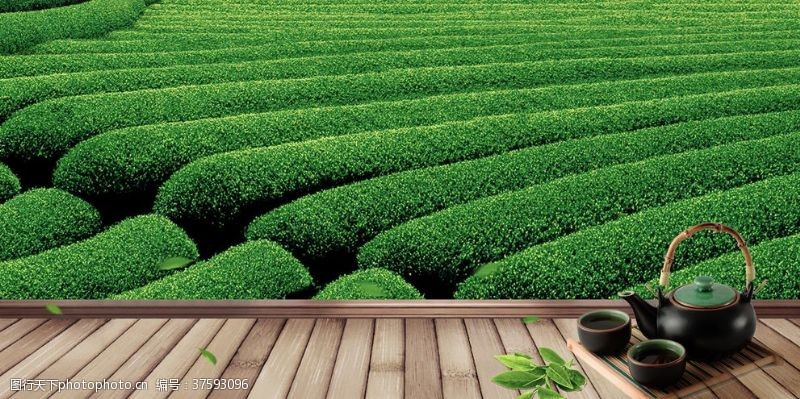 茶素材茶园茶壶绿色清新古风素材背景