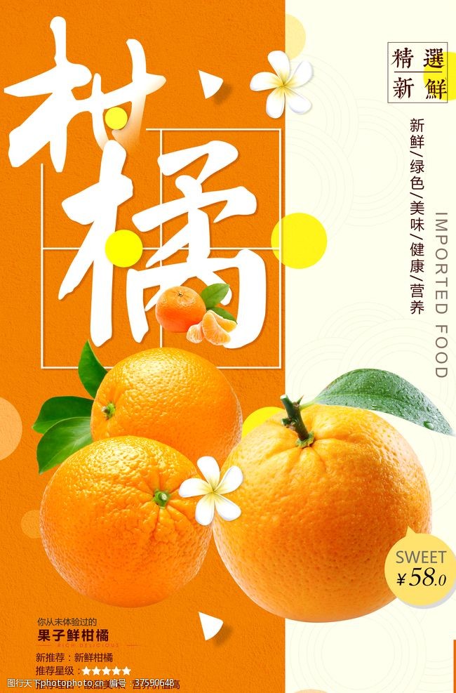 水果采购柑橘