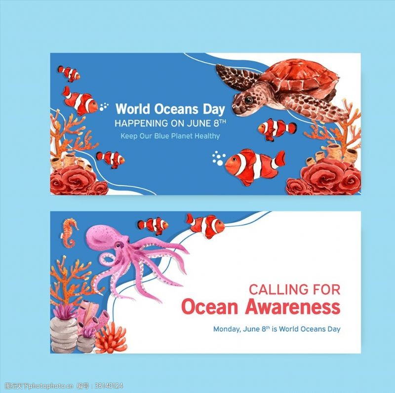 教育手册海洋动物卡片