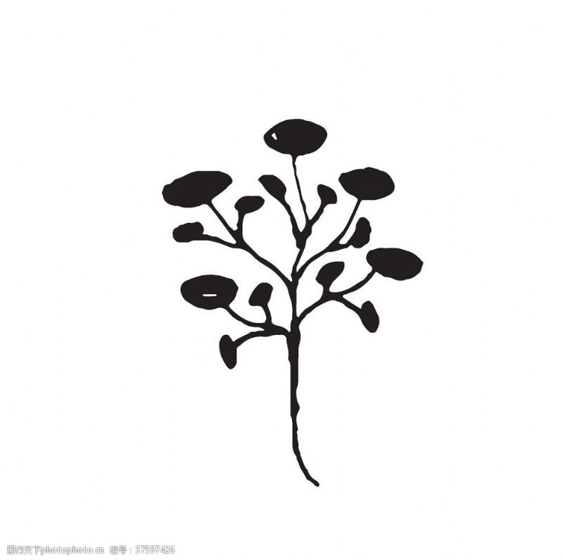 黑白涂鸦线条图案黑白涂鸦植物
