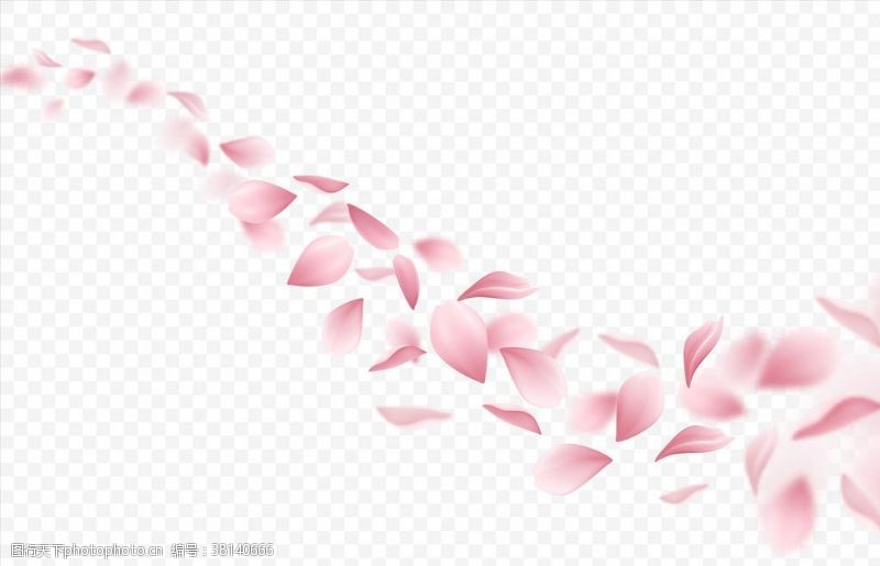 花瓣设计素材图片免费下载 花瓣设计素材素材 花瓣设计素材模板 图行天下素材网