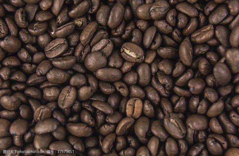 茶文化画册咖啡豆咖啡醇香