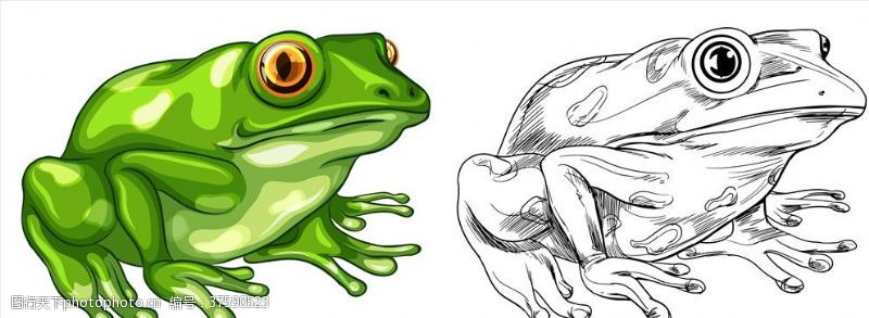 可爱拟人小动物卡通青蛙