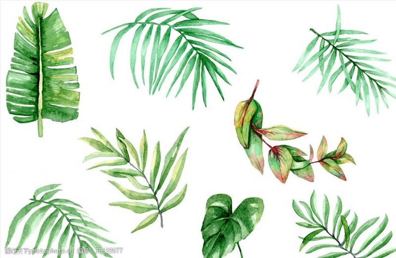 植被沙发绿叶图案
