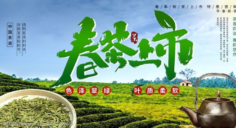 中华茶文化春茶上市