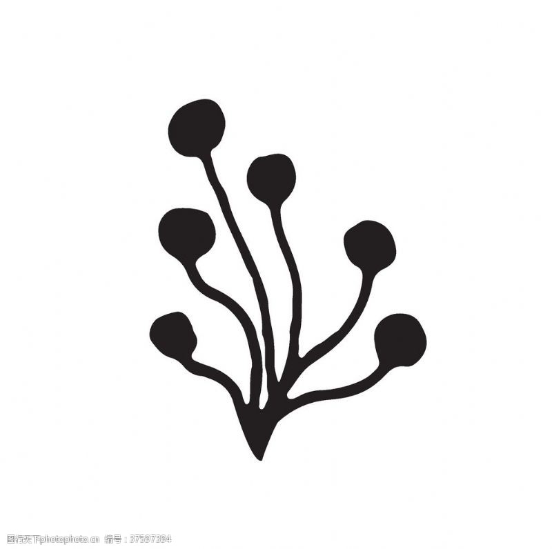 黑白涂鸦线条图案黑白涂鸦植物