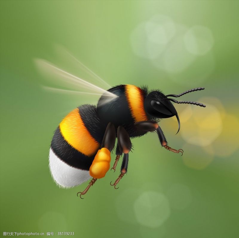拟物蜜蜂