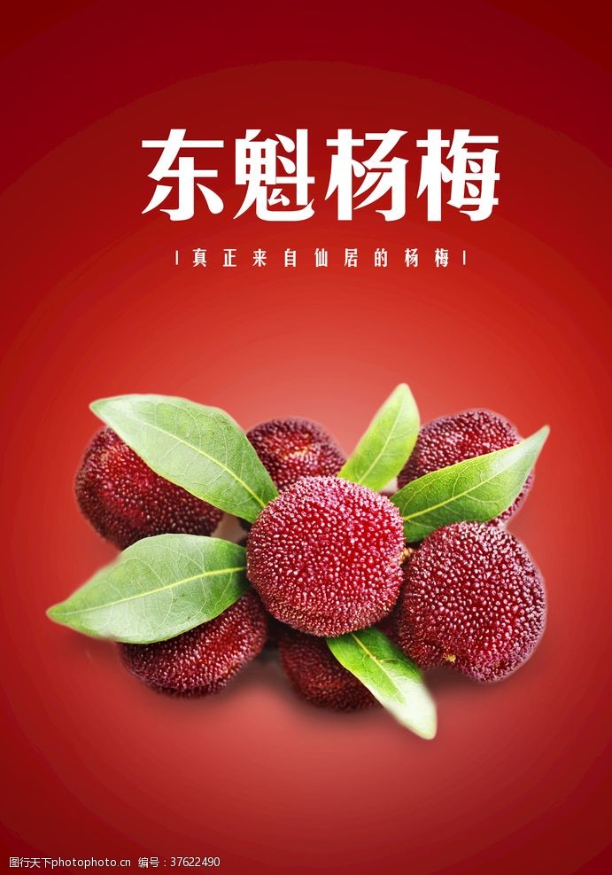 册子水果海报
