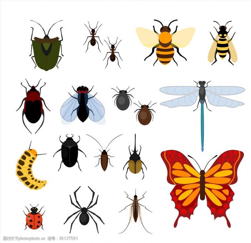 可爱拟人小动物卡通昆虫