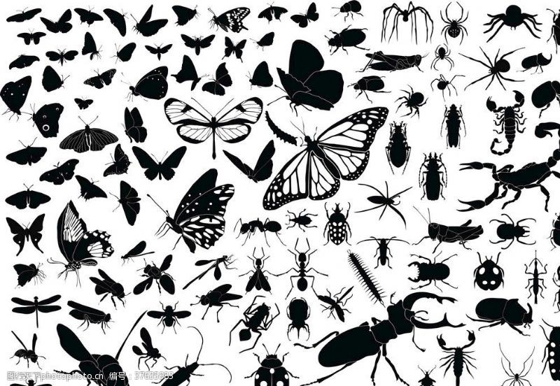 蛾子100种感染源昆虫矢量元素