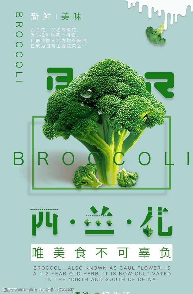 种植西兰花蔬菜海报