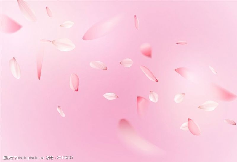 房产海报粉色花瓣背景