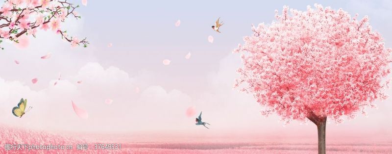 手绘樱花唯美粉色樱树