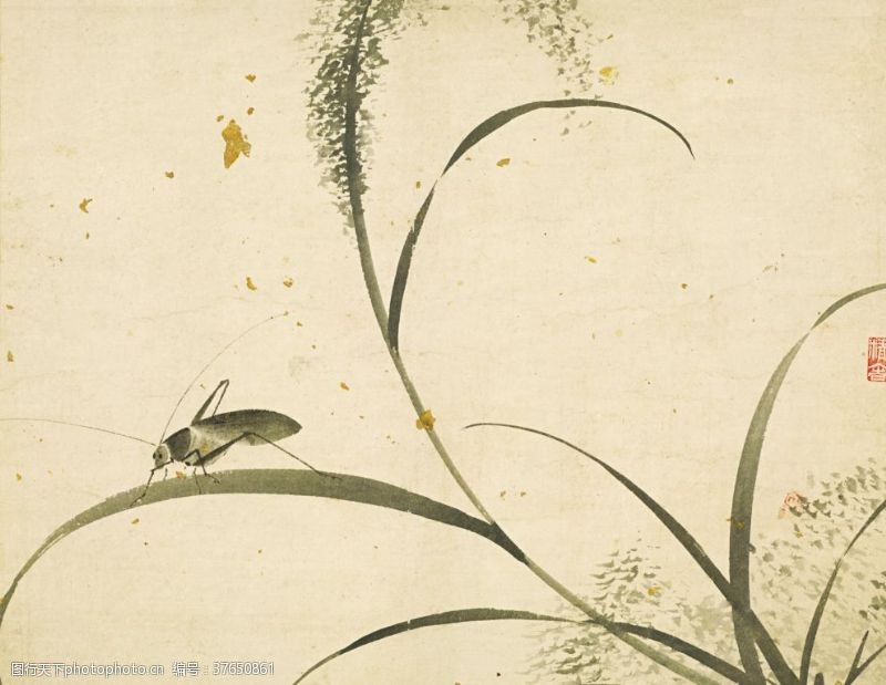 中文字库植物花朵工笔画