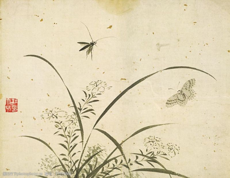 中文字库植物花朵工笔画