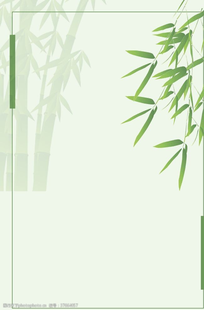 竹子盆栽竹子