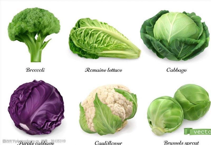 蔬菜底纹卡通蔬菜