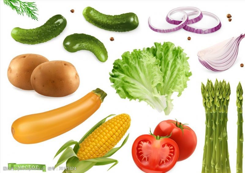 蔬菜底纹蔬菜