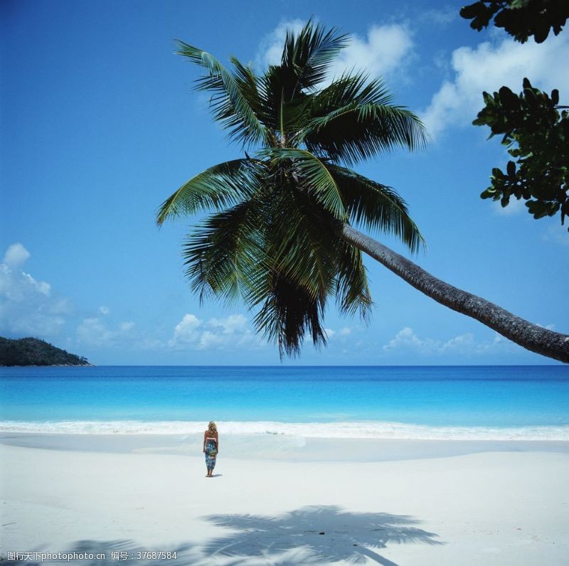 沙滩美女海天椰树